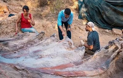 Portugalist leiti brahhiosauruse jäänused