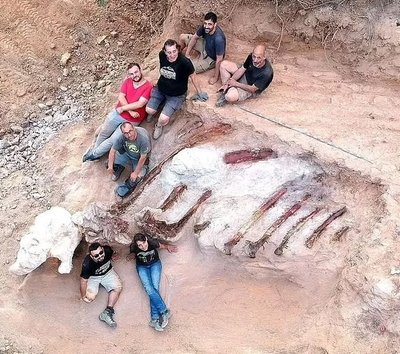 Portugalist leiti brahhiosauruse jäänused