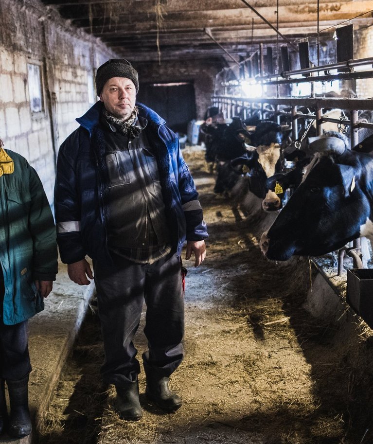 Sirje ja Aivar Tsimmer võivad oma aastatepikkusest tööst rõõmu tunda – nende Sepa talu karjas on Eesti ühed tervemad lehmad.