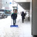 "Таллинн доволен темпом уборки городских улиц": тонкости чистки снега в столице