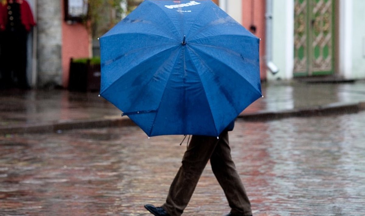 Почему зонты так часто ломаются: на что обратить внимание, выбирая себе .