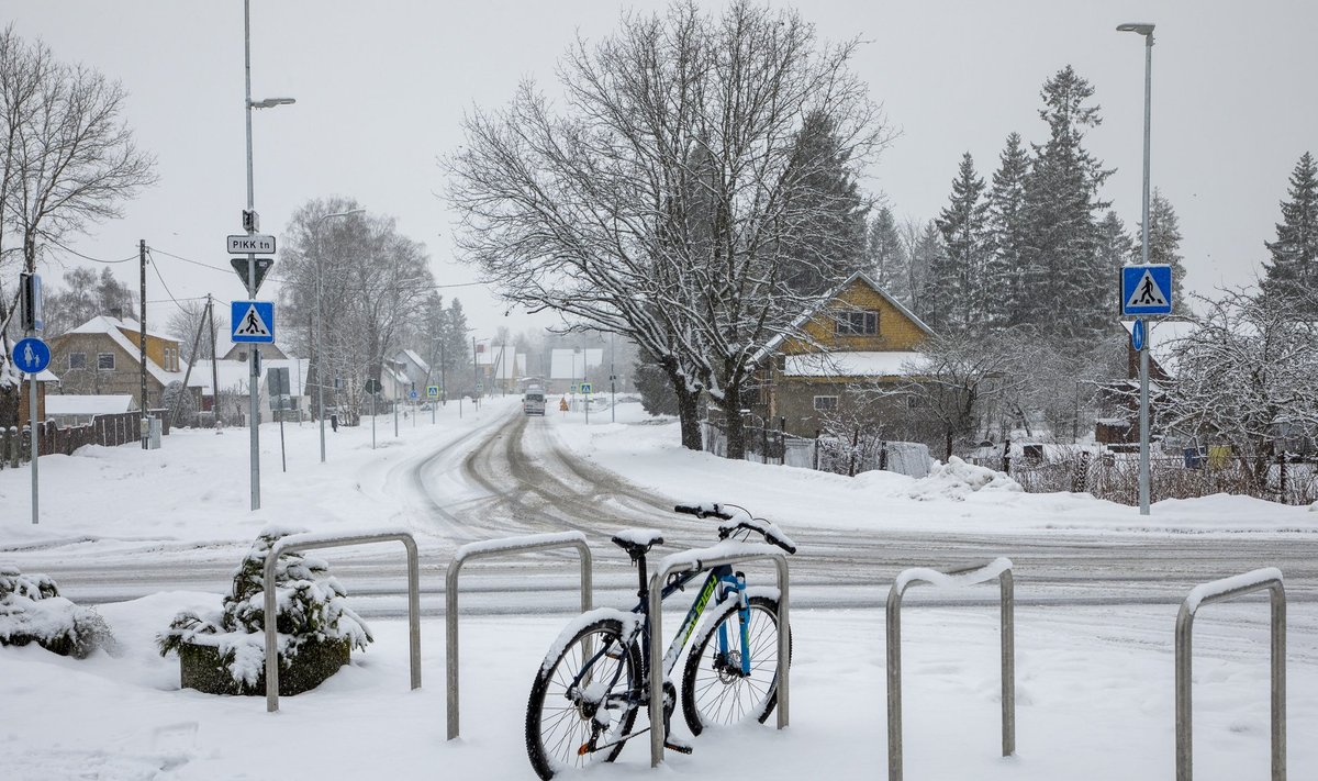 Talv, jalgratas, lumi, väikelinn