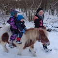 TREILER: Uus hooaeg! Kuidas möödub Heidi Hanso ja laste talv Pajuvärava talus?