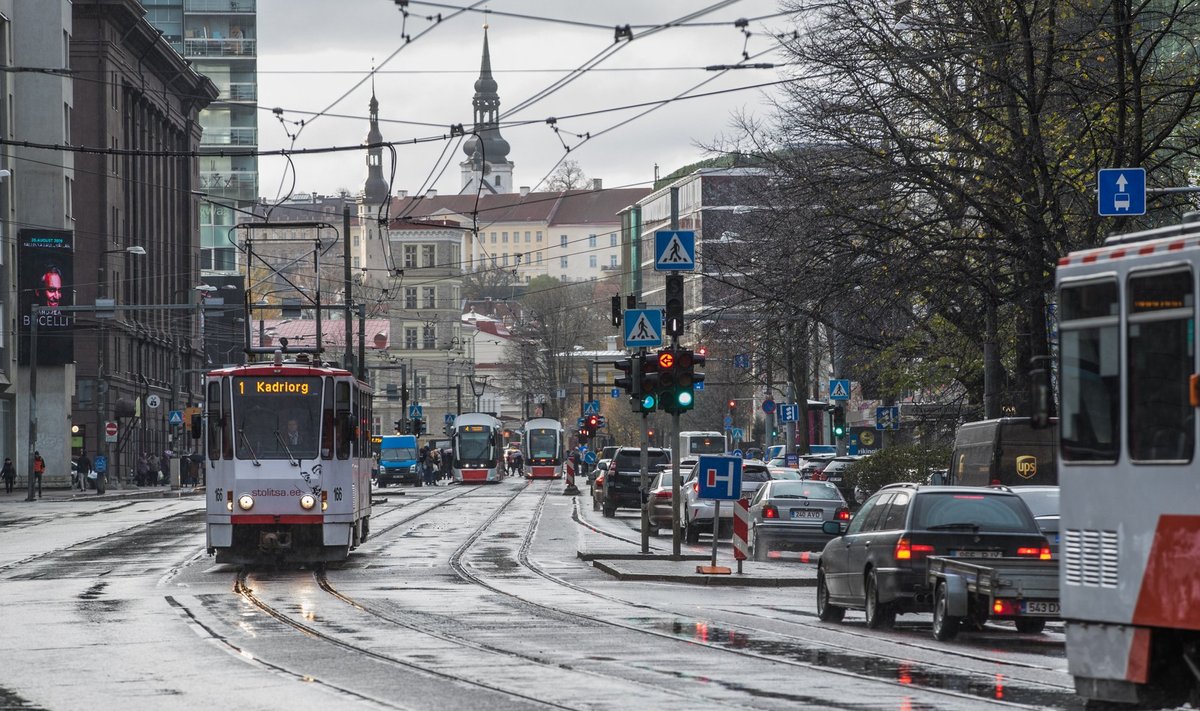 Kulub veel aastaid, enne kui Tallinna kesklinna keset Narva maanteed puud istutatakse ja autoliiklust piiratakse.