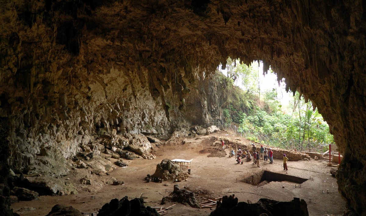 Koobas Indoneesias, kus 2003. a esimesed "kääbikusäilmed" avastati. (Foto: Wikimedia Commons / Rosino)