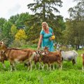 AGROTURISM | Kogu Euroopa on külalisi ootavaid farme täis