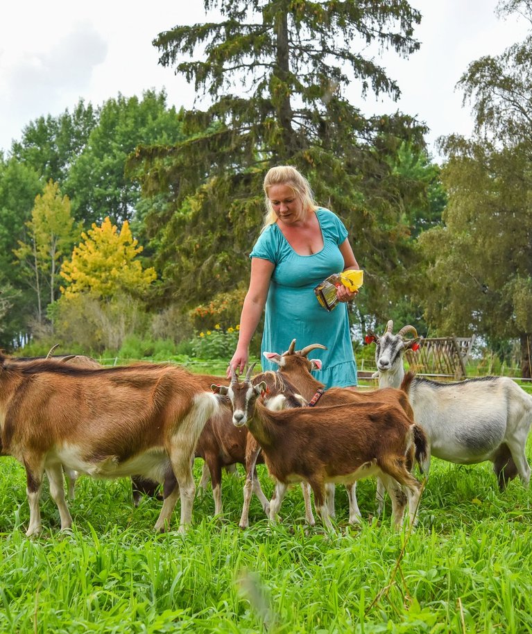 "Olen karja vähendanud ja kevadel vaatan, kuidas edasi lähen," ütleb OÜ Seitse Kitsetalle perenaine Anne-Mai Sutt.