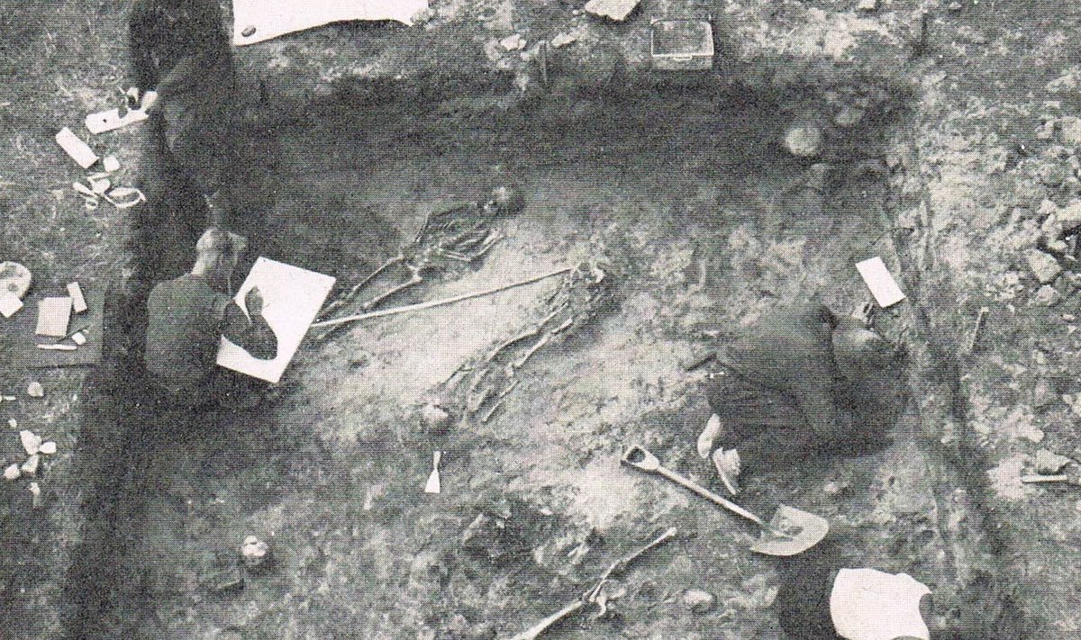 Foto 3. Varbola linnuseõuel 15.–17/18. sajandil asunud külakalmistu kaevamised 1938.