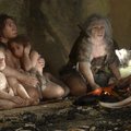 Neandertallaste y-kromosoom inimestele edasi ei kandunud