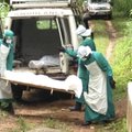 Ebola, see tänase päeva katk, niidab jalust ahve ja inimesi