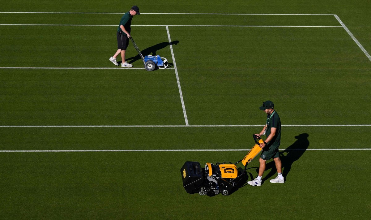 Wimbledoni võistlusväljakud käiakse muruniidukiga ja märgistamiseks värvimasinaga üle igal hommikul, treeninguväljakud õhtuti. 