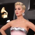 Katy Perry muusikavideos osalenud modell süüdistab lauljannat ahistamises: ta näitas mu suguelundit tervele peole