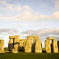 Stonehenge võib olla ehitatud searasva abiga