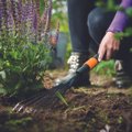 UURING | Täielikuks õnnetundeks tuleb teha 4,4 tundi aiatöid nädalas