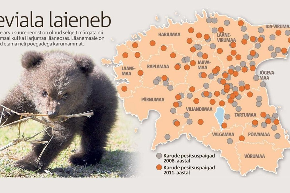 В каких районах обитаешь. Места обитания медведей в России на карте. Где обитают медведи в России на карте. Карта медведей в России. Зоны обитания медведей на карте.