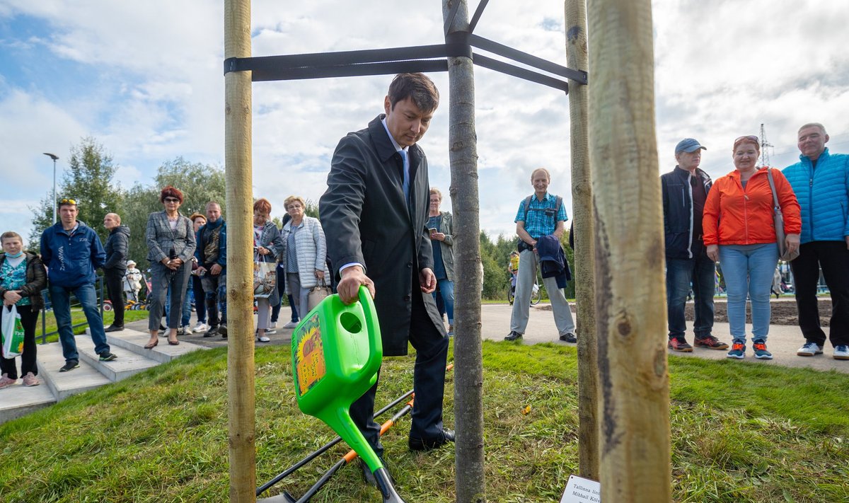 Mihhail Kõlvart, Tallinna linnapea