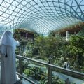 ФОТО | В аэропорту Дохи открыли огромный живой сад