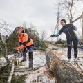 Kui nii edasi läheb, võib sündida uus spordiala – raiesuusatamine