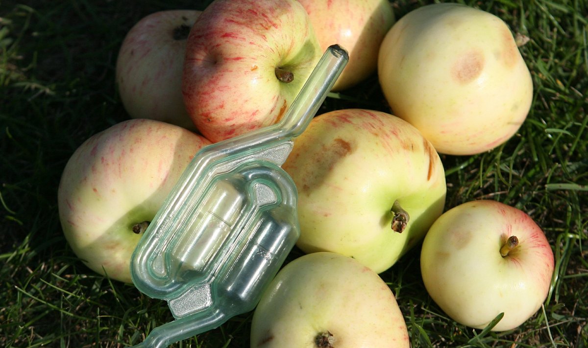 Linda Nektari toodanguks on kontsentraadist kääritatud naturaalne õunavein.