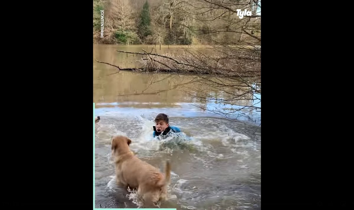 Koera jalutamine võib lõppeda vette kukkumisega
