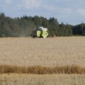 Strateegiadokumendid ja päriselu: Maaelu tulevikule mõeldes