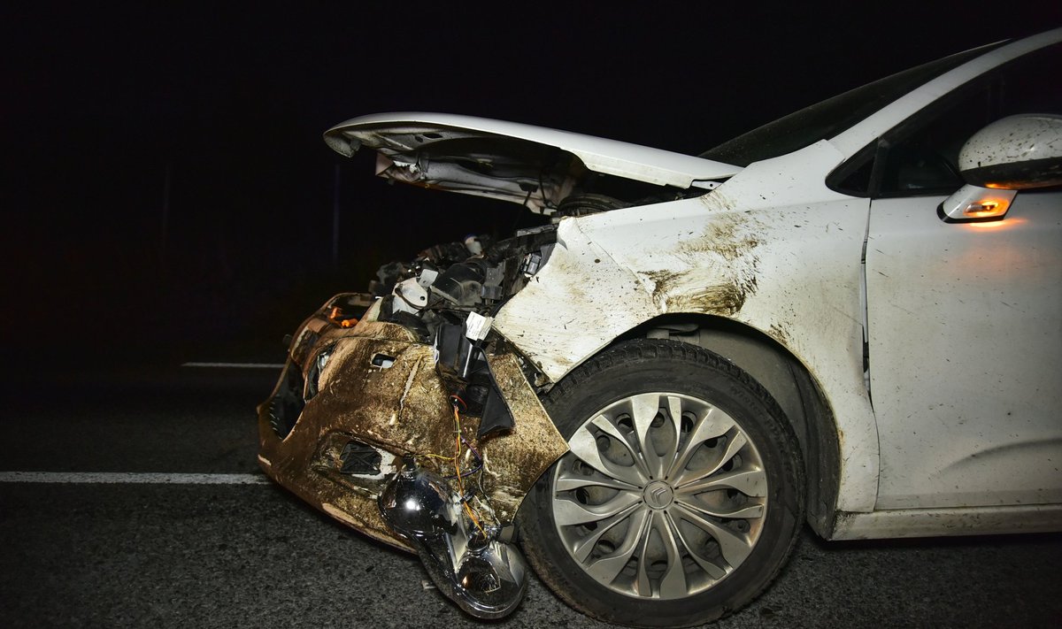 Metsseaga kokku põrganud auto.