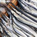SÖÖGE ROHKEM KALA | Millised on kala söömise terviseeelised?