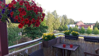 “Наш дом летом” | Балкон в Какумяэ, заменивший владельцам и сад, и столовую