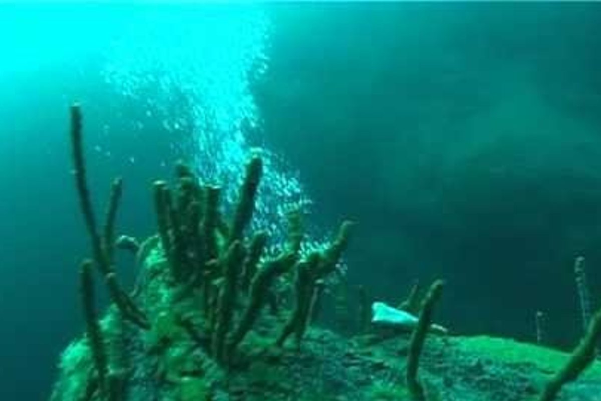 Подводный мир озера Чаны