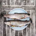 Eestis müüdavast kalast ja selle turvalisusest