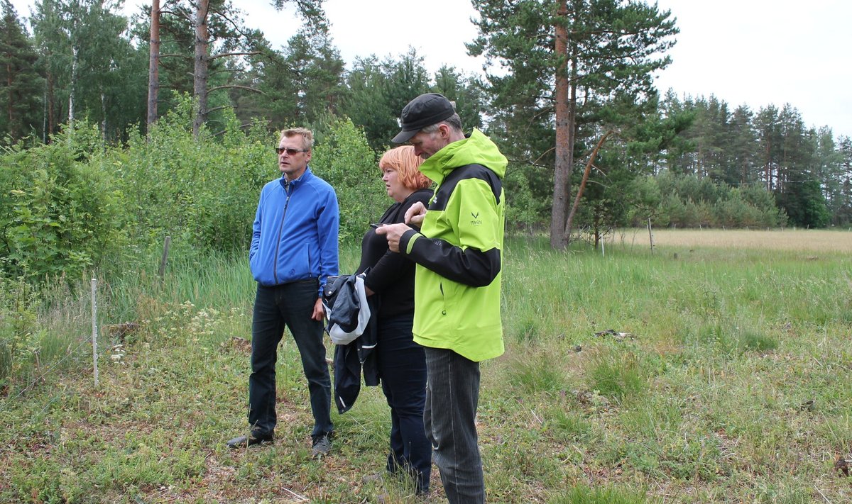 Žürii liikmed Tiit Kosenkranius (paremal) ja Aira Toss uudistavad Lauri Salumäe metsi.