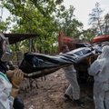 OTSEBLOGI | Linnapea nõunik: Mariupolis leiti rusude alt keldrist ligi 200 poollagunenud surnukeha
