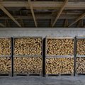 PUIDUTURG | Okaspuu- ja lehtpuupalkide hinnad on püsinud, paberi- ja küttepuidul pisut kasvanud