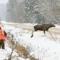 RMK jätkab jahilubade enampakkumistega