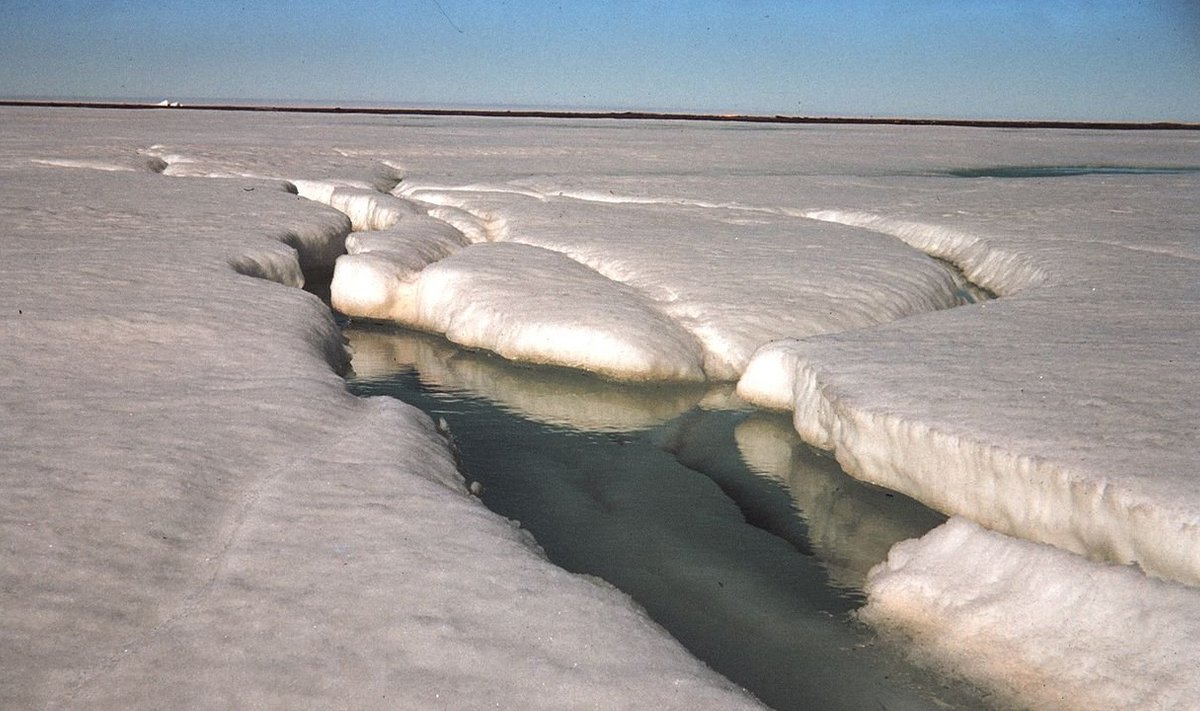 Foto: Wikimedia Commons / Harley D. Nygren, NOAA