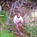 VIDEO | Austraalias leiti kolmeaastane laps kolm päeva pärast kadumist üles