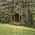 Что изображено на фото? Фантастическая история о том, как необычное отверстие в эстонском лесу стало мировой сенсацией