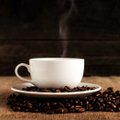 Laboris loodud kohv on sama hea kui tavaline ning mahendab kohvitööstuse suuri probleeme