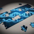 Teadlased leidsid geenivariandi, mis kaitseb koroonahaiguse vastu