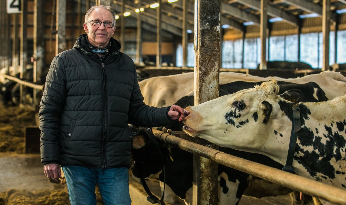Kehtna Mõisa OÜ juhatuse liige ja EPIKO nõukogu esimees Märt Riisenberg ütleb, et uue piimanduskriisi saabumine sõltub sellest, kui pikalt piima hinna praegune langus kestab.