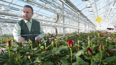 ENSV rikkad | Kuidas teenekas põllumees klaaspurkidesse topitud tuhandeid rublasid roosipeenardesse mattis