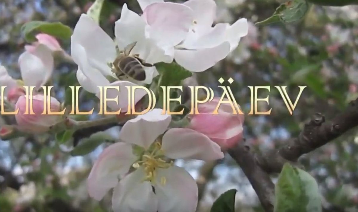 Avakaader filmist "Lilledepäev"