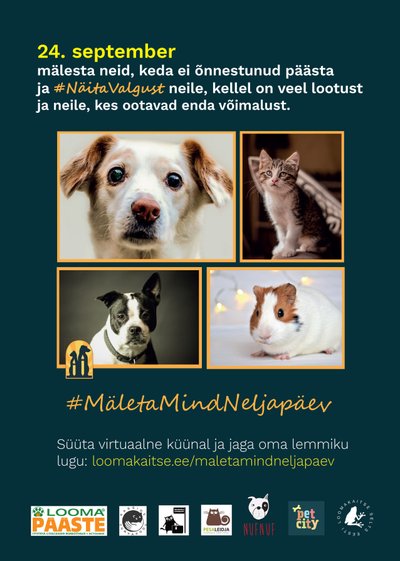 "Mäleta Mind Neljapäev"