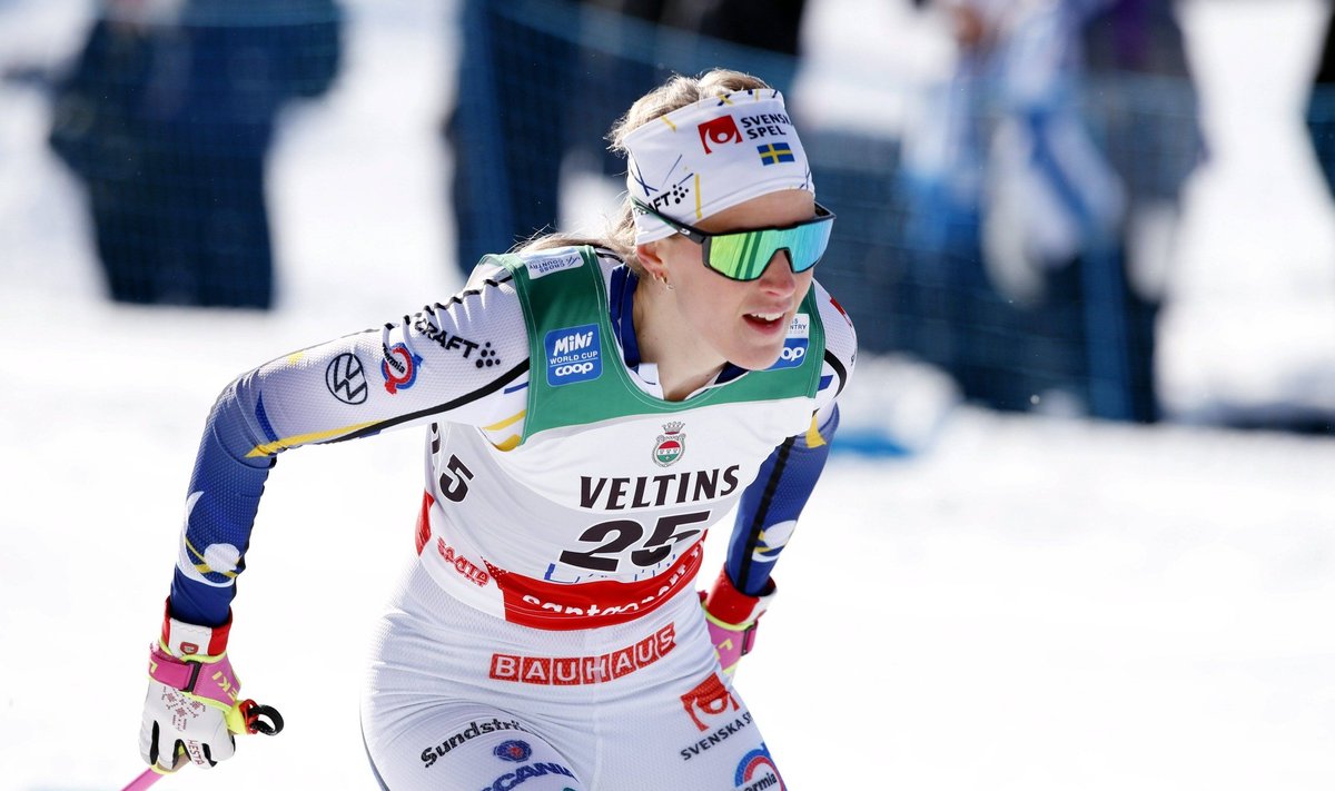 Anna Dyvik