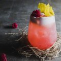 Ekspert annab nõu: seitse lihtsat põhireeglit, mida järgides segad valmis parimad suvised kokteilid