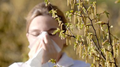 Allergia kimbutab üha tüütumalt igas eas inimesi. Just nende taimede ja toiduainetega peab olema eriti ettevaatlik