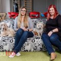 KÄPAD TÖÖL | Neli koera ja üks kass käivad tööl