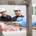 FOTOD ja VIDEO | Eesti lihatööstuste kantsis valmivad kahe venna eestvedamisel kõige ehedamad jõuluroad