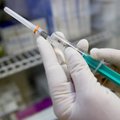 Семейные врачи и аптекари: причина нехватки вакцины от гриппа – в планировании