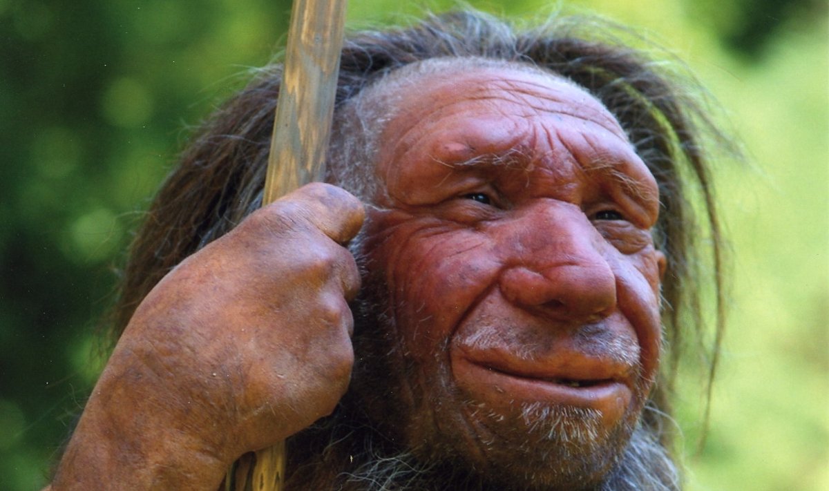 Neandertallase rekonstruktsioon
